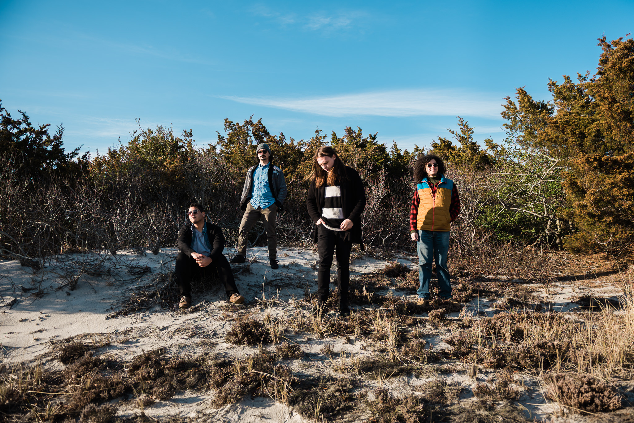 The Foxfires Island Beach State Park Stars and Scars Photo